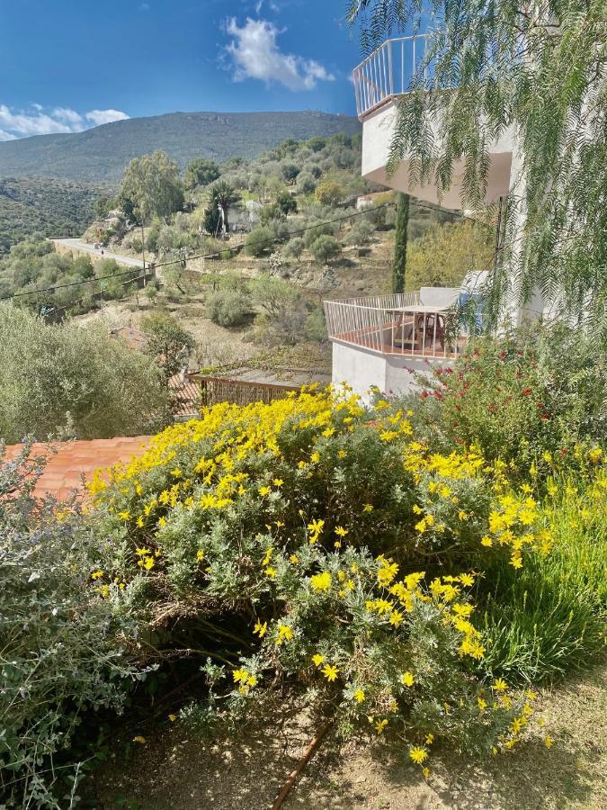 Apartament Ses Terrasses Cadaqués Zewnętrze zdjęcie