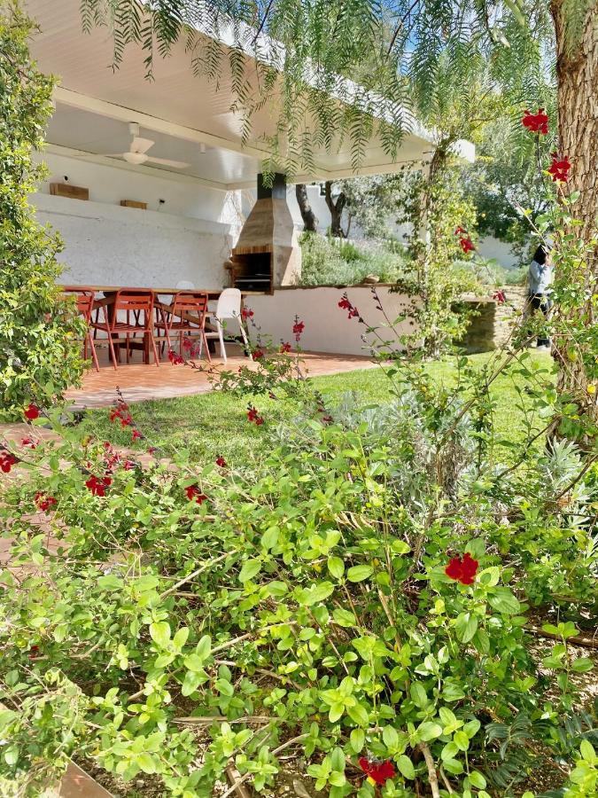 Apartament Ses Terrasses Cadaqués Zewnętrze zdjęcie