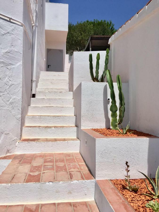 Apartament Ses Terrasses Cadaqués Zewnętrze zdjęcie