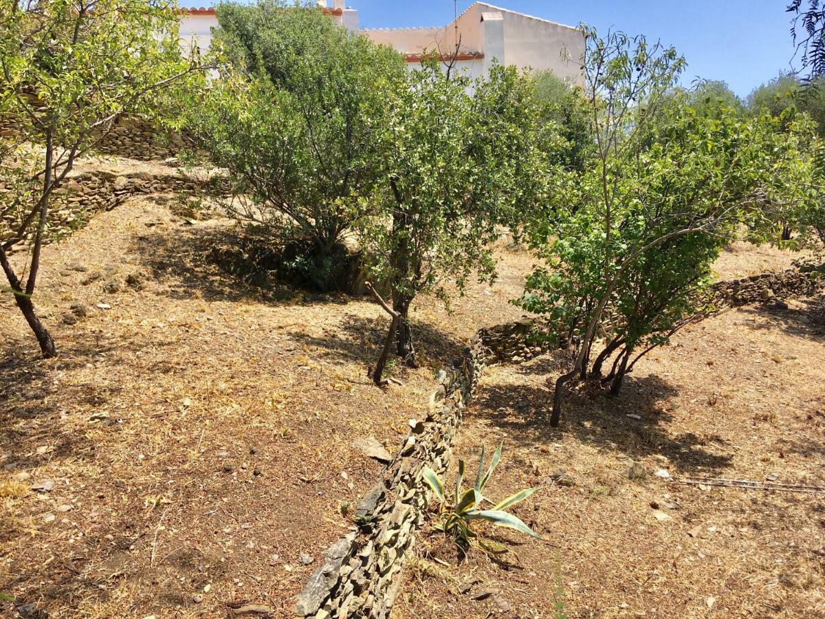 Apartament Ses Terrasses Cadaqués Zewnętrze zdjęcie